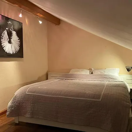 Duplex, A 10 Min De La Frontiere, Ornex